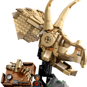 LEGO 76969 Dinosauří fosilie Lebka triceratopse