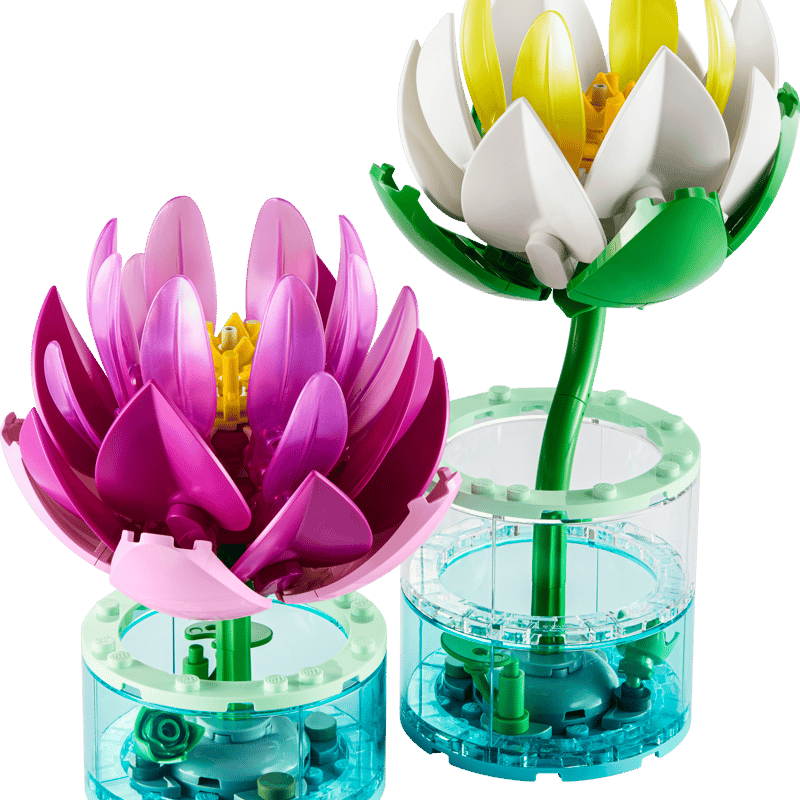 LEGO 11511 Lekníny
