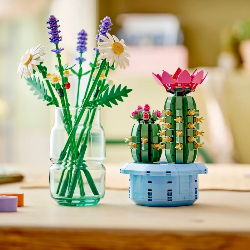 LEGO Botanicals 11509 Kvetoucí kaktus — obrázek 9